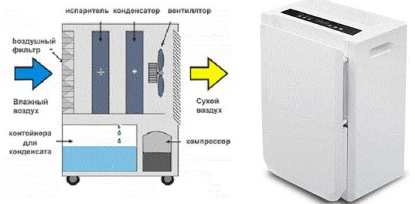 Как высушить погреб: избавиться от сырости, конденсата, плесени