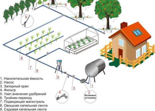 Капельное орошение в теплице и на огороде своими руками