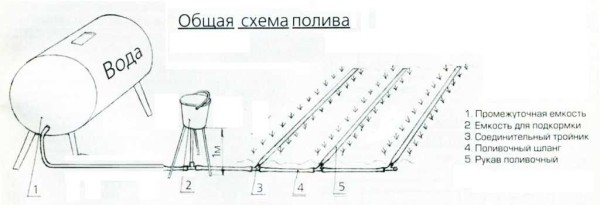 Капельное орошение в теплице и на огороде своими руками