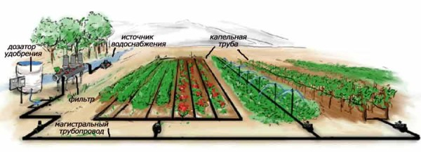 Автополив своими руками