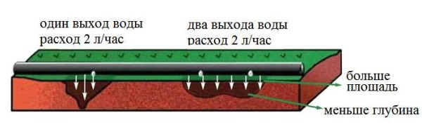 Капельное орошение в теплице и на огороде своими руками