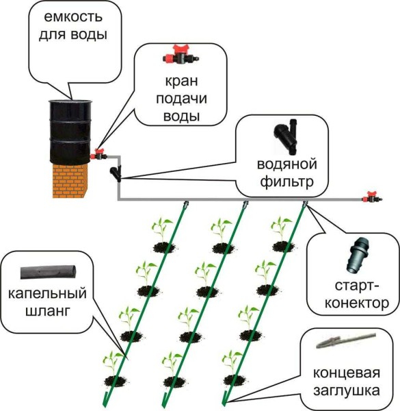 Капельное орошение в теплице и на огороде своими руками